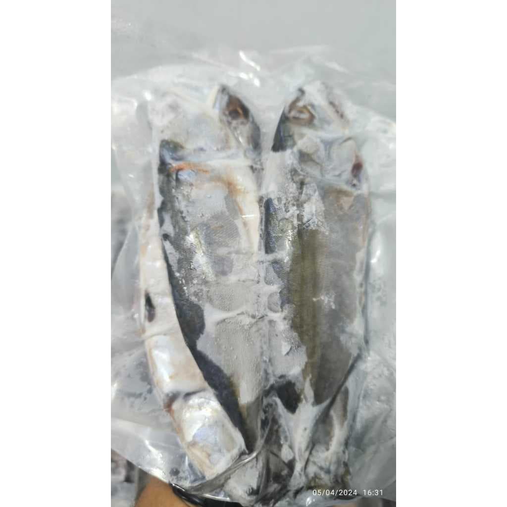 Ikan Gembung Kuring Aso | Ikan Kembung Bersih - foto 2