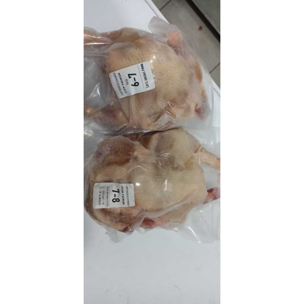 Ayam Potong Premium 1 Ekor | Ayam Broiler Muda | Ayam Utuh - foto 2