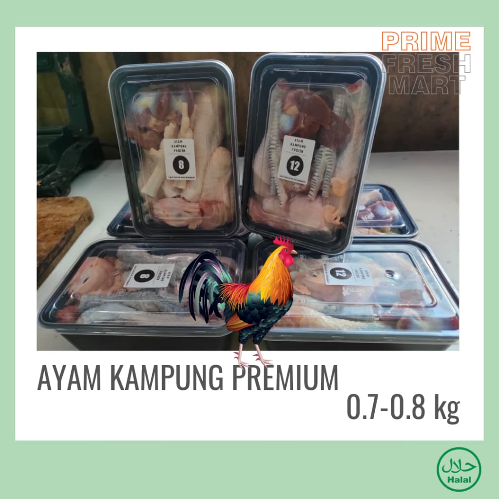 Ayam Kampung Asli 1 Ekor