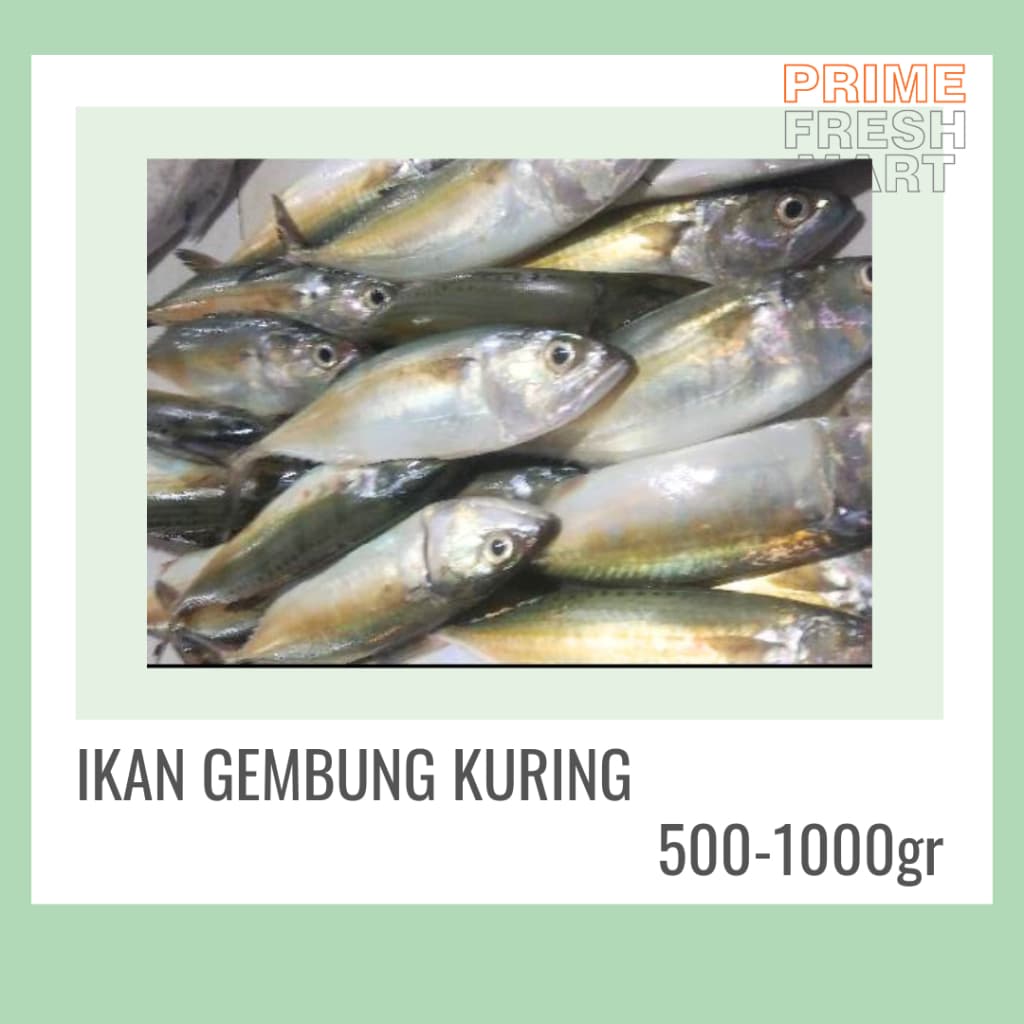 Ikan Gembung Kuring Aso | Ikan Kembung Bersih