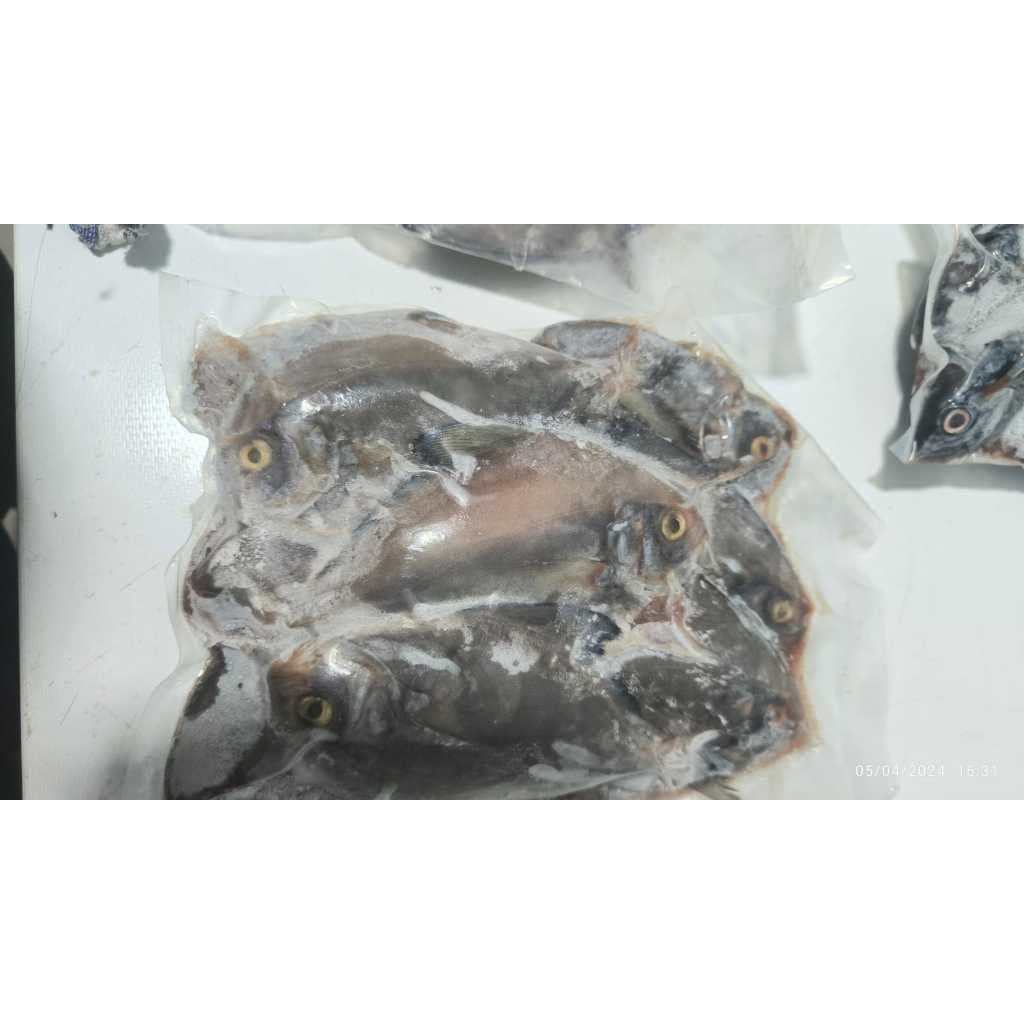 Ikan Bawal Bersih Fresh Frozen Ukuran Sedang - foto 2