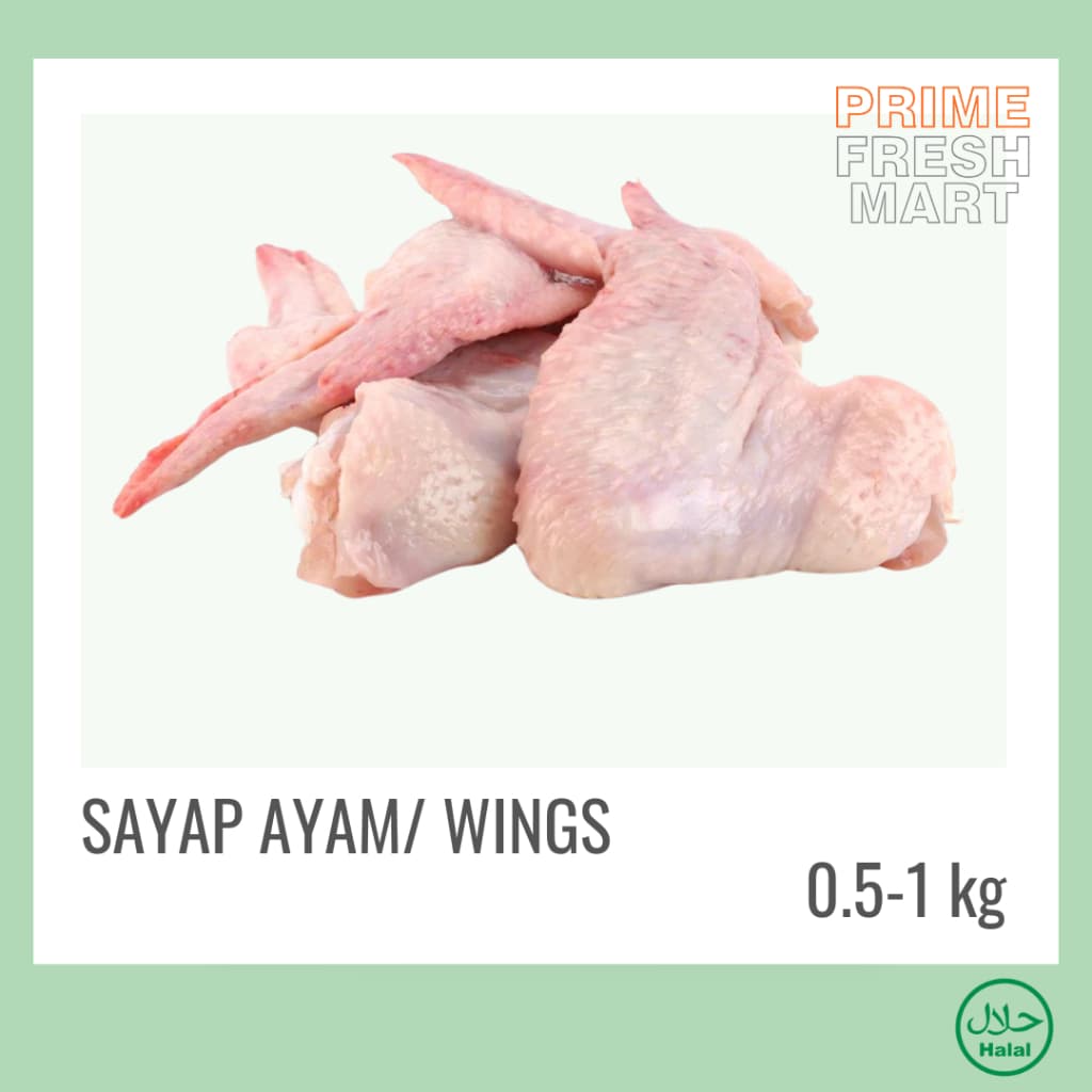 Sayap Ayam Potong | Wings Ayam Broiler - foto 4
