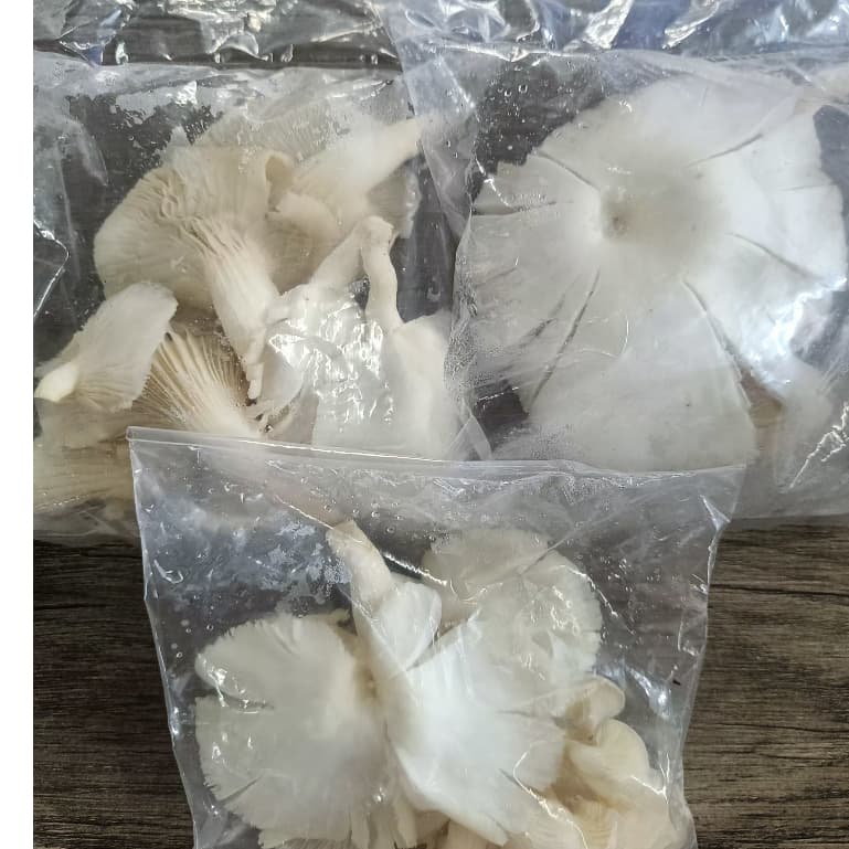 Jamur Tiram 90gr | Jamur Tiram Bersih Siap Masak - foto 3