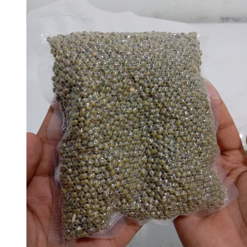 Kacang Hijau Bersih 250gr | Kacang Hijau Medan | Mung Beans - foto 3
