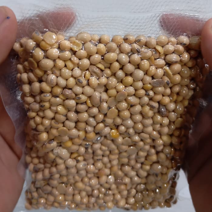 Kacang Kedelai Kupas 250gr | Kedelai Kupas Kulit | Biji Kedelai Kupas - foto 4