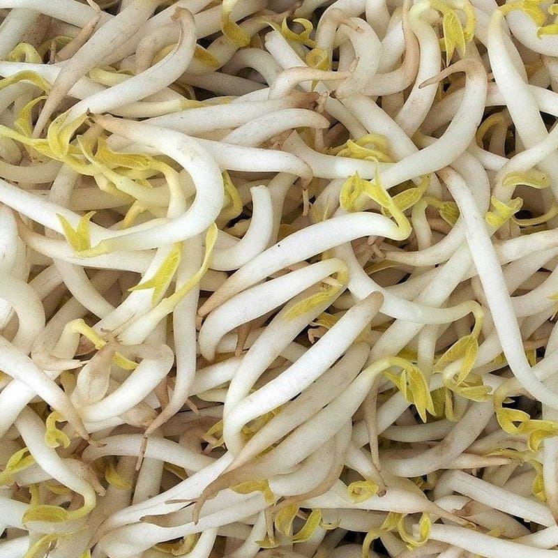 Toge Segar 500gr - Sayuran Segar dan Fresh - foto 3
