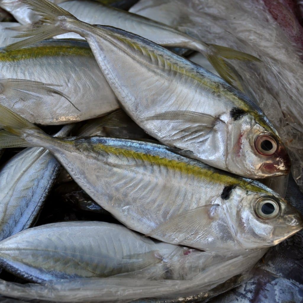 Ikan Selar Laut 500gr Ikan Ikan Segar untuk Masakan - foto 4