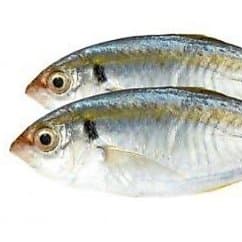 Ikan Selar Laut 500gr Ikan Ikan Segar untuk Masakan - foto 3