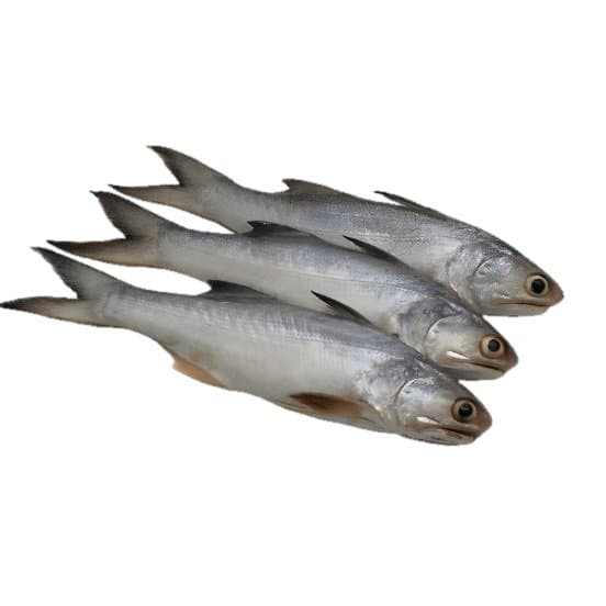 Ikan Senangin Bersih Siap Masak | Ikan Frozen 500gr - foto 3