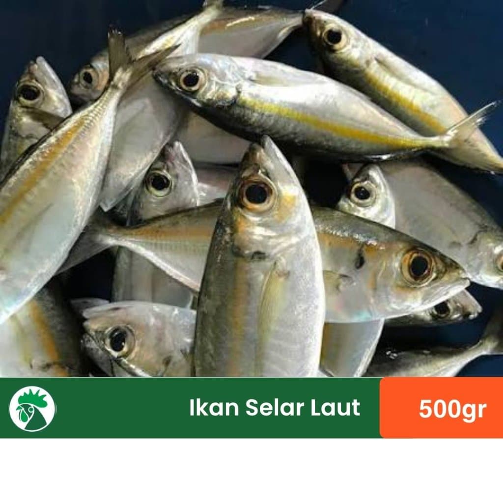 Ikan Selar Laut 500gr Ikan Ikan Segar untuk Masakan