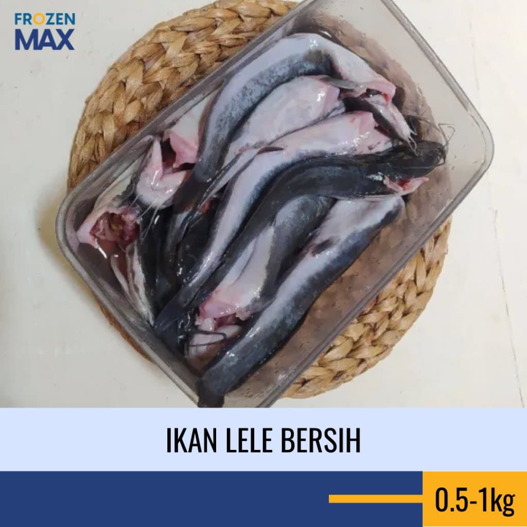 Ikan Lele Bersih Siap Masak