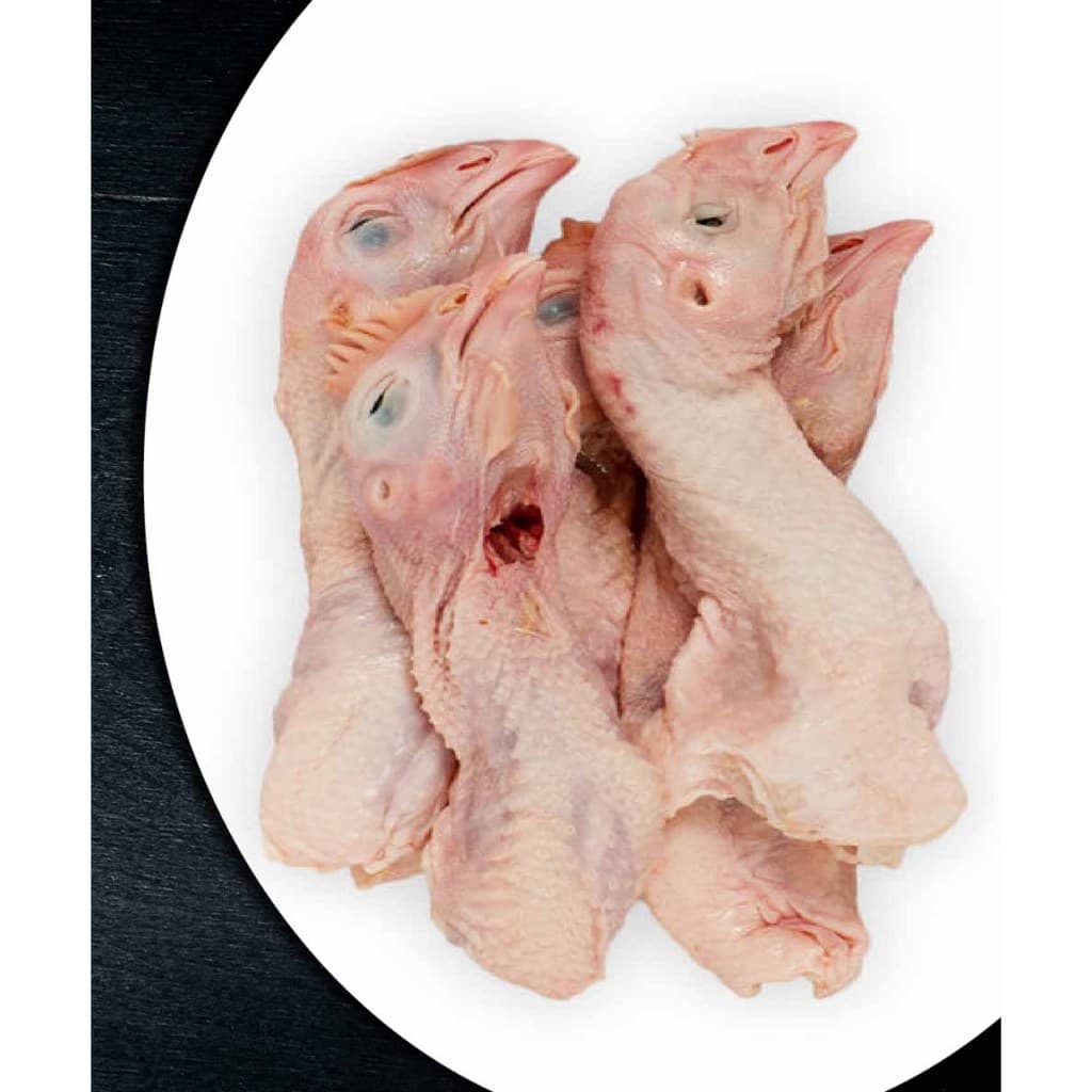 Kepala Ayam Leher Panjang | Ayam Potong - foto 3