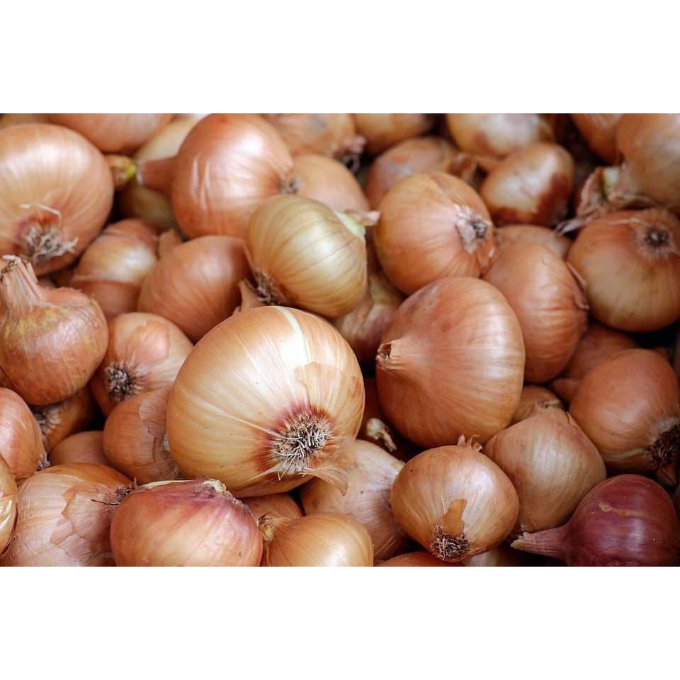 Bawang Bombay 500gr - Segar, Berkualitas, Mudah Disimpan - foto 3