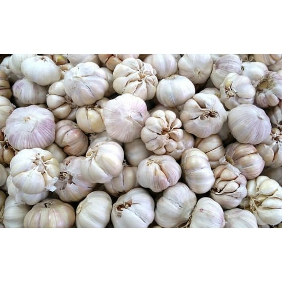 Bawang Putih 100g 250gr | Garlic | Bawang Putih Segar - foto 3