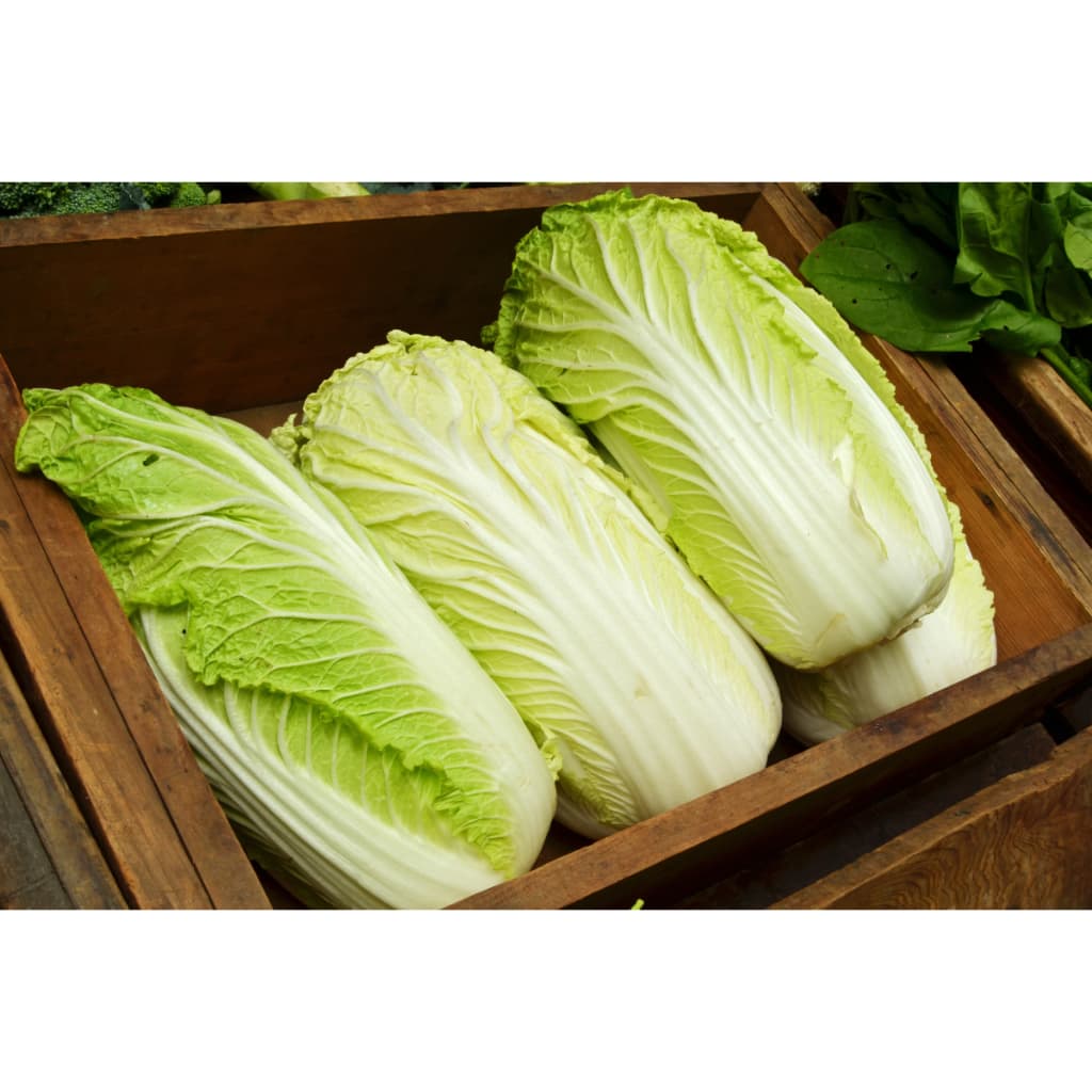 Sawi Putih Segar - Sayur Sawi - foto 2