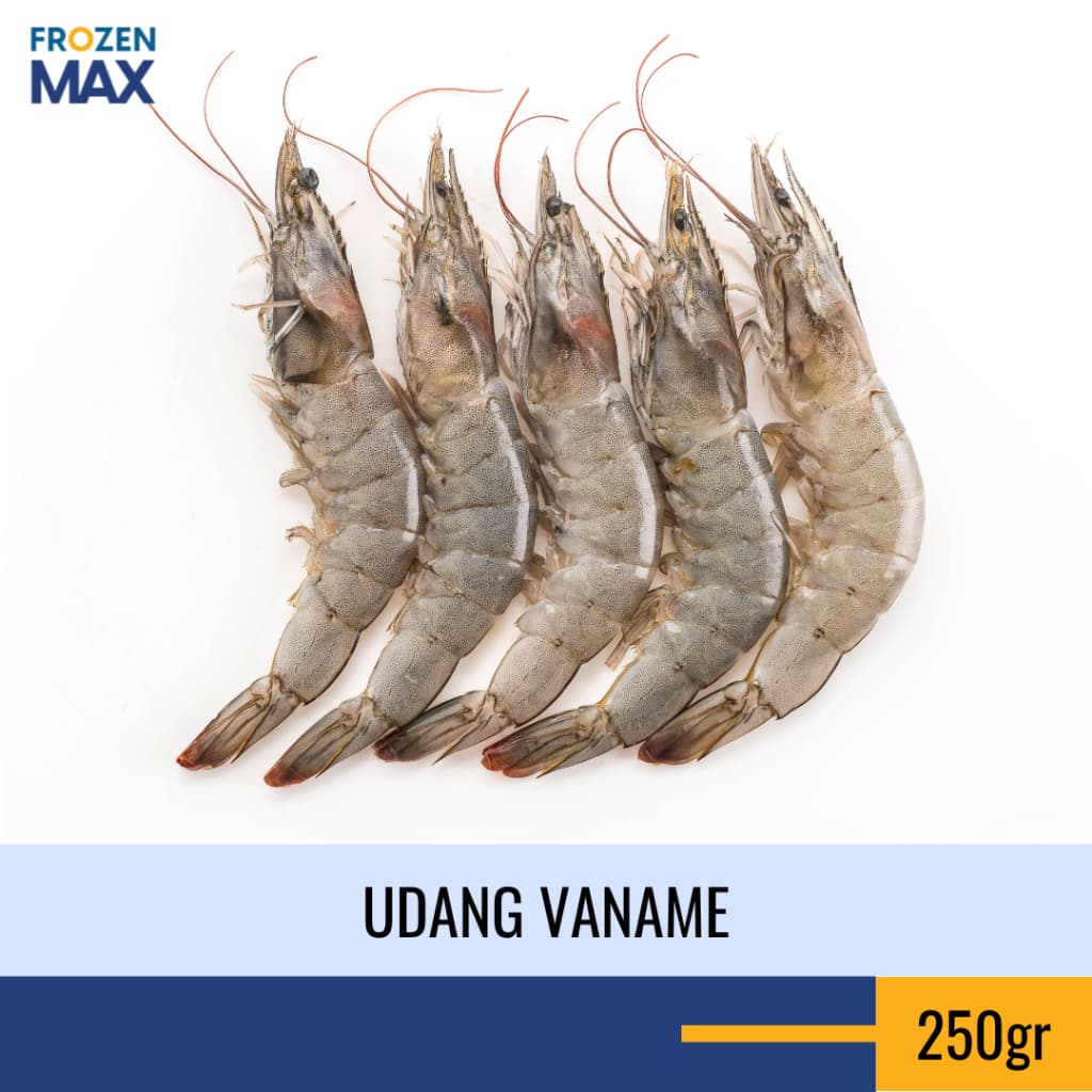 Udang Vaname Besar Fresh Frozen Udang Tambak 250g Praktis Masak Instan