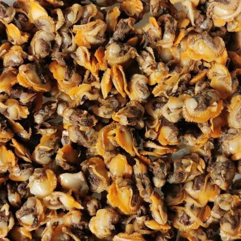 Kerang Kupas Frozen 250gr | Kerang Dara - foto 3