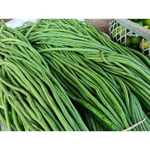 Kacang Panjang - Sayur Segar - foto 3