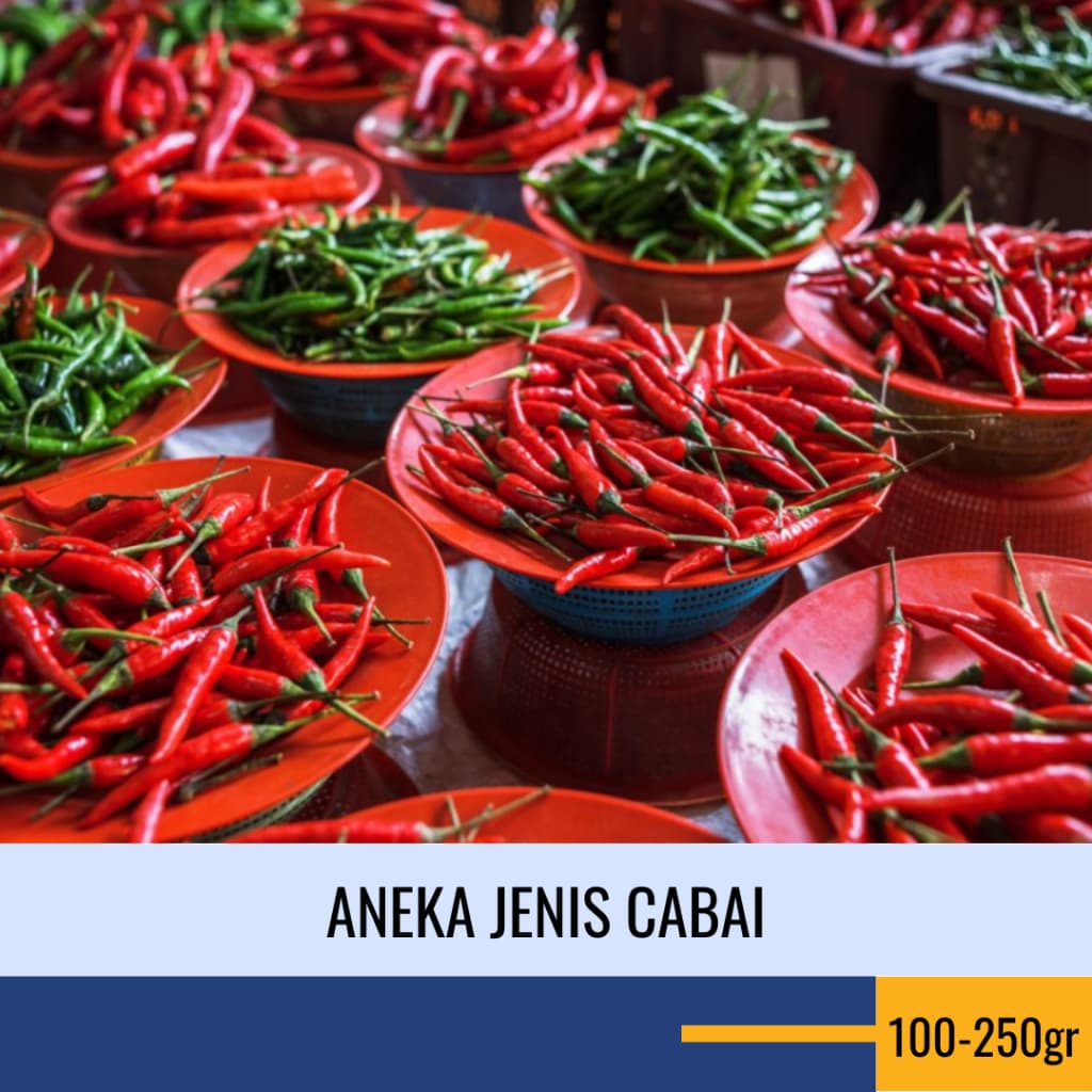 Aneka Cabe Merah Rawit Caplak - Cabai Hijau