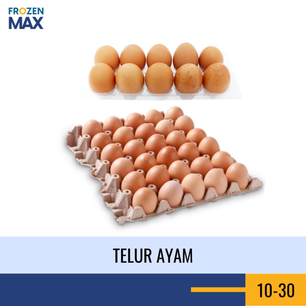 Telur Ayam Negeri Fresh Ukuran Sedang | Telur Ayam Eropa