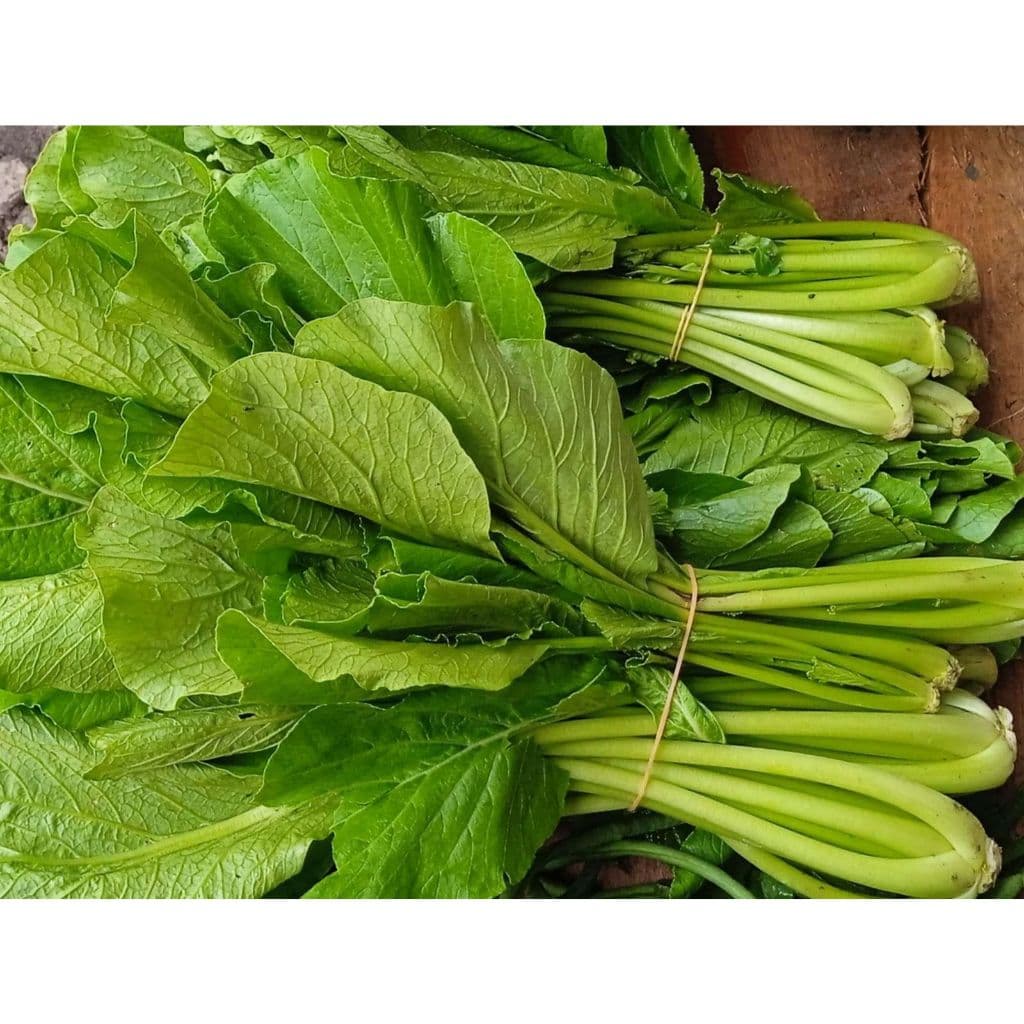 Sawi Manis - Sayur Sawi Daun Segar - foto 2