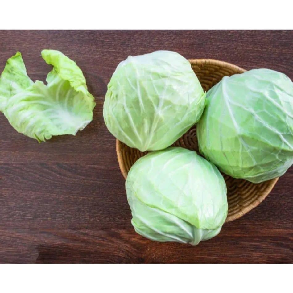 Sayur Kol Segar - Sayur Kol Berastagi - foto 3