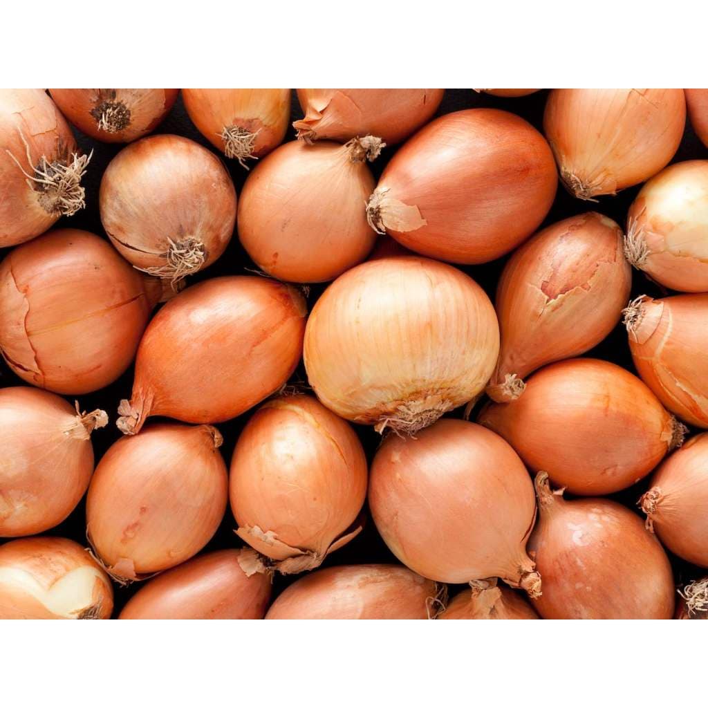 Bawang Bombay 500gr - Segar, Berkualitas, Mudah Disimpan - foto 2