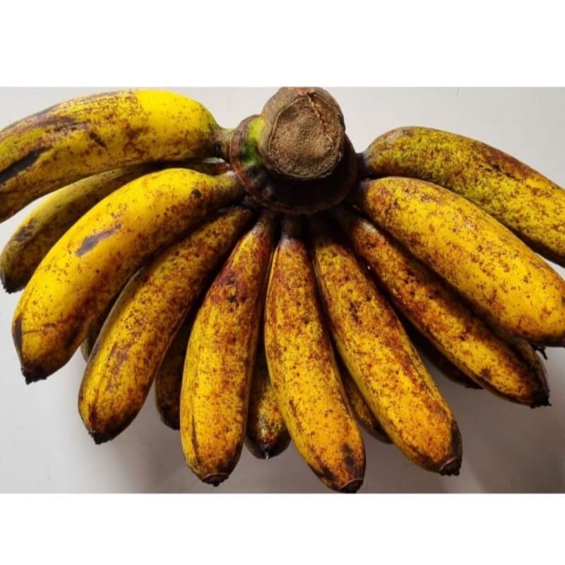 Pisang Barangan 1 Sisir | Pisang Segar | Manis, Lembut - foto 3