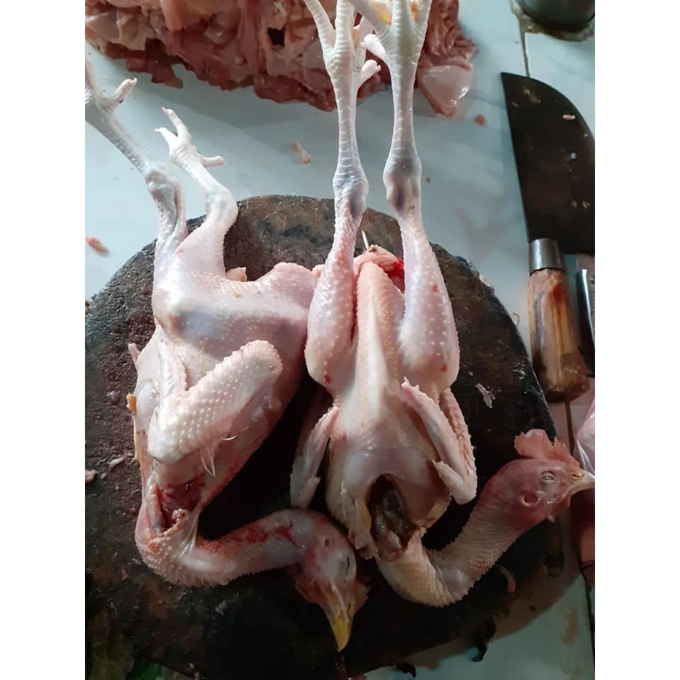 Ayam Kampung Asli 1 Ekor - foto 2