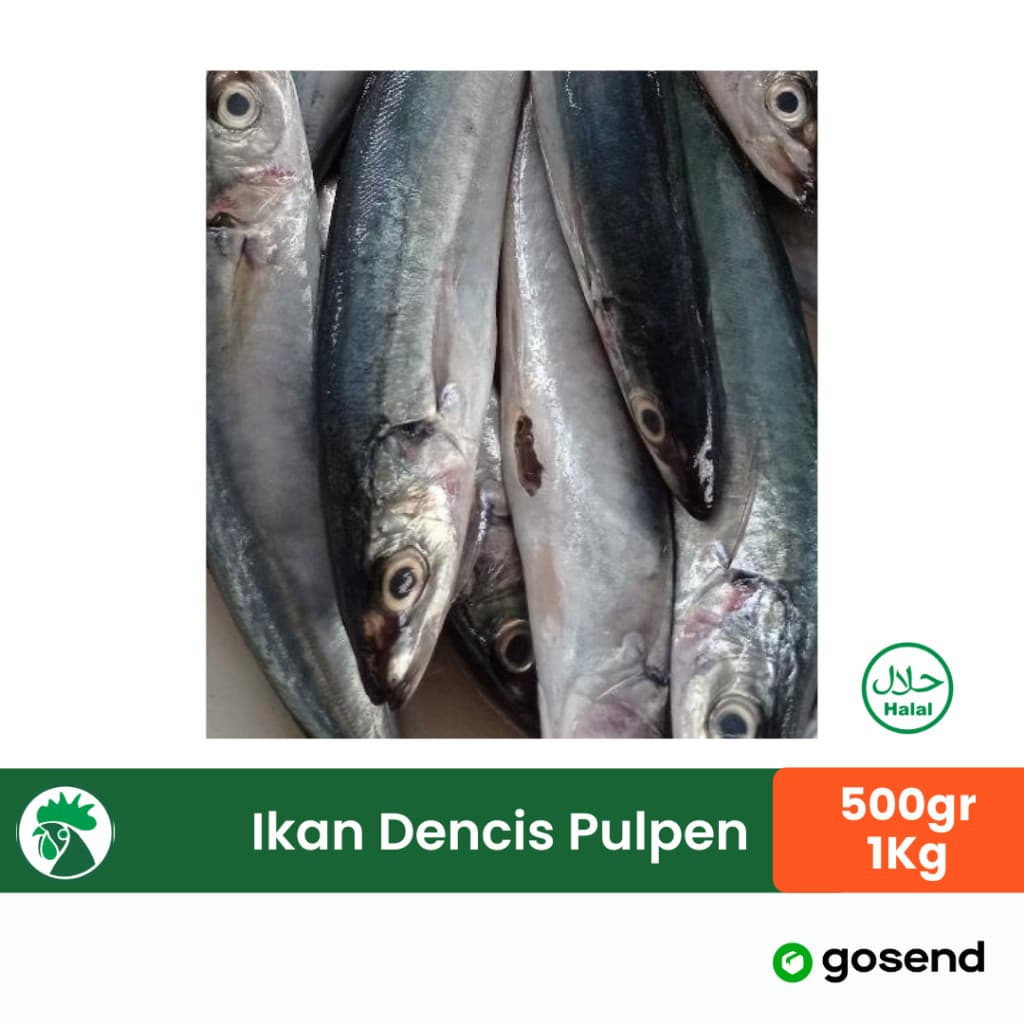 Ikan Dencis Fresh Frozen | Ikan Laut Bersih 500gr 1kg