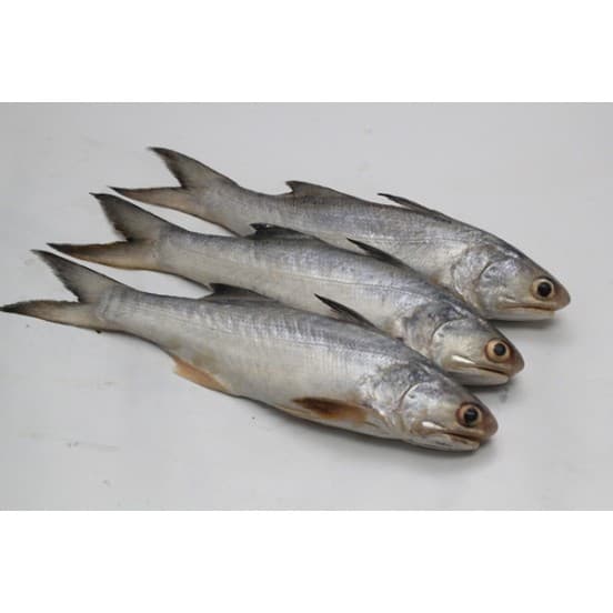 Ikan Senangin Siap Masak | Ikan Frozen 500gr & 1kg