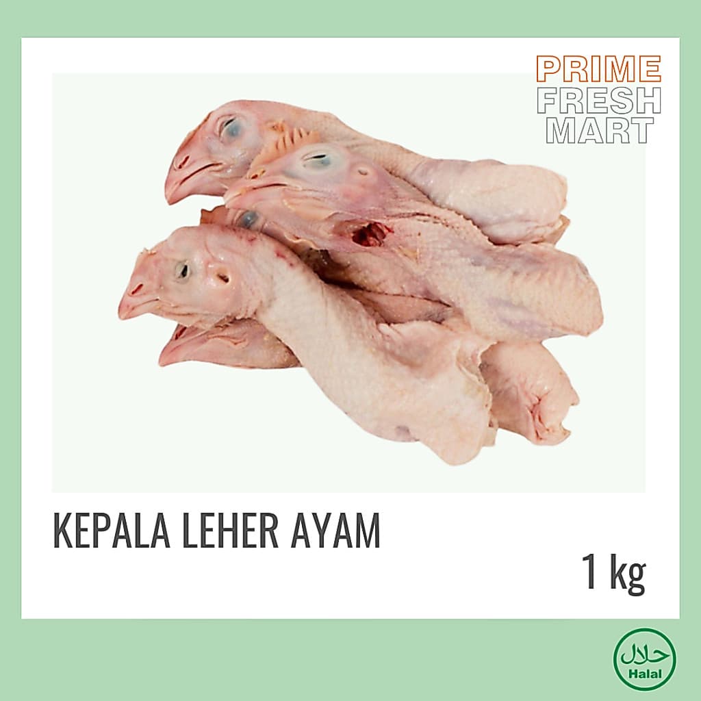 Kepala Ayam Leher Panjang | Ayam Potong - foto 4