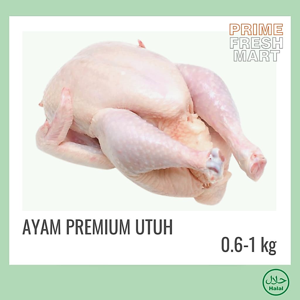 Ayam Potong Premium 1 Ekor | Ayam Broiler Muda | Ayam Utuh - foto 4