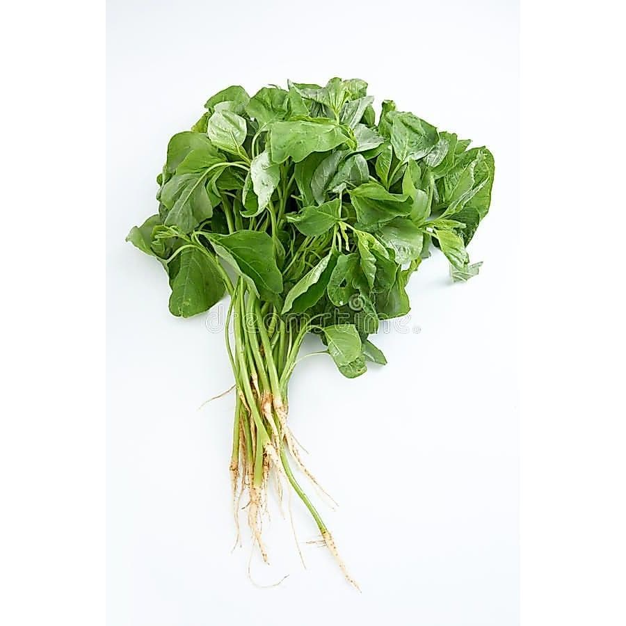 Sayur Bayam - foto 2