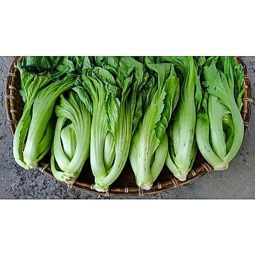 Sayur Sawi Pahit 500gr - Sayur Segar - foto 3