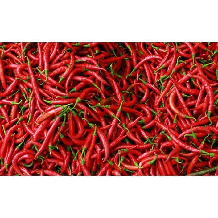 Aneka Cabe Merah Rawit Caplak - Cabai Hijau - foto 2